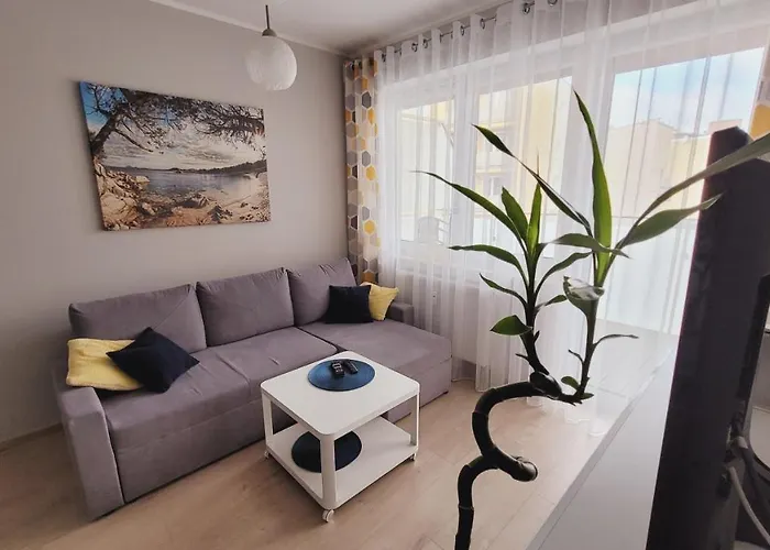 Apartament Miodowy Dom